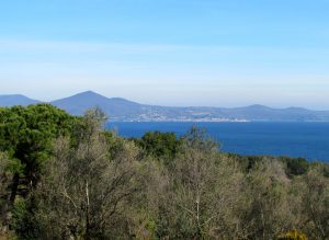 Terra dei Sapori – Il gusto del turismo lento:  nel Parco Bracciano-Martignano, tre  appuntamenti gratuiti tra gusto, territorio e  scoperta