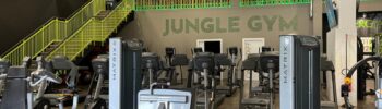 Jungle