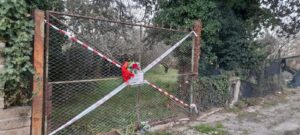 Femminicidio alla prova del tribunale: Claudio Carlomagno alla sbarra per l’omicidio della moglie Federica Torzullo