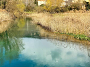 No al raddoppio del Peschiera: Comitati Viterbo e Rieti uniti. Iniziative il 22 febbraio