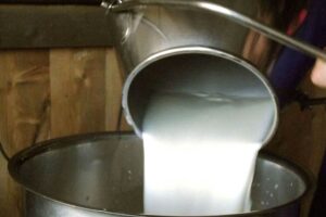 Latte: Italo Pulcini di Cia Roma chiede convocazione urgente tavolo di crisi