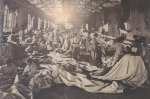 “Due sguardi sull’Artico a confronto” a Vigna di Valle: un filo di nylon lungo cent’anni