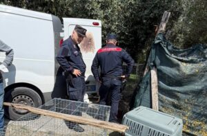 La Cavicchioli si beffa delle autorità: ancora animali all’indomani del sequestro “Appello alla Procura di Rieti: stop alla complicità del Comune di Montopoli in Sabina”