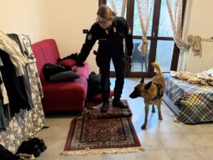 Controlli a tappeto dell’Arma a La Storta e Casalotti
