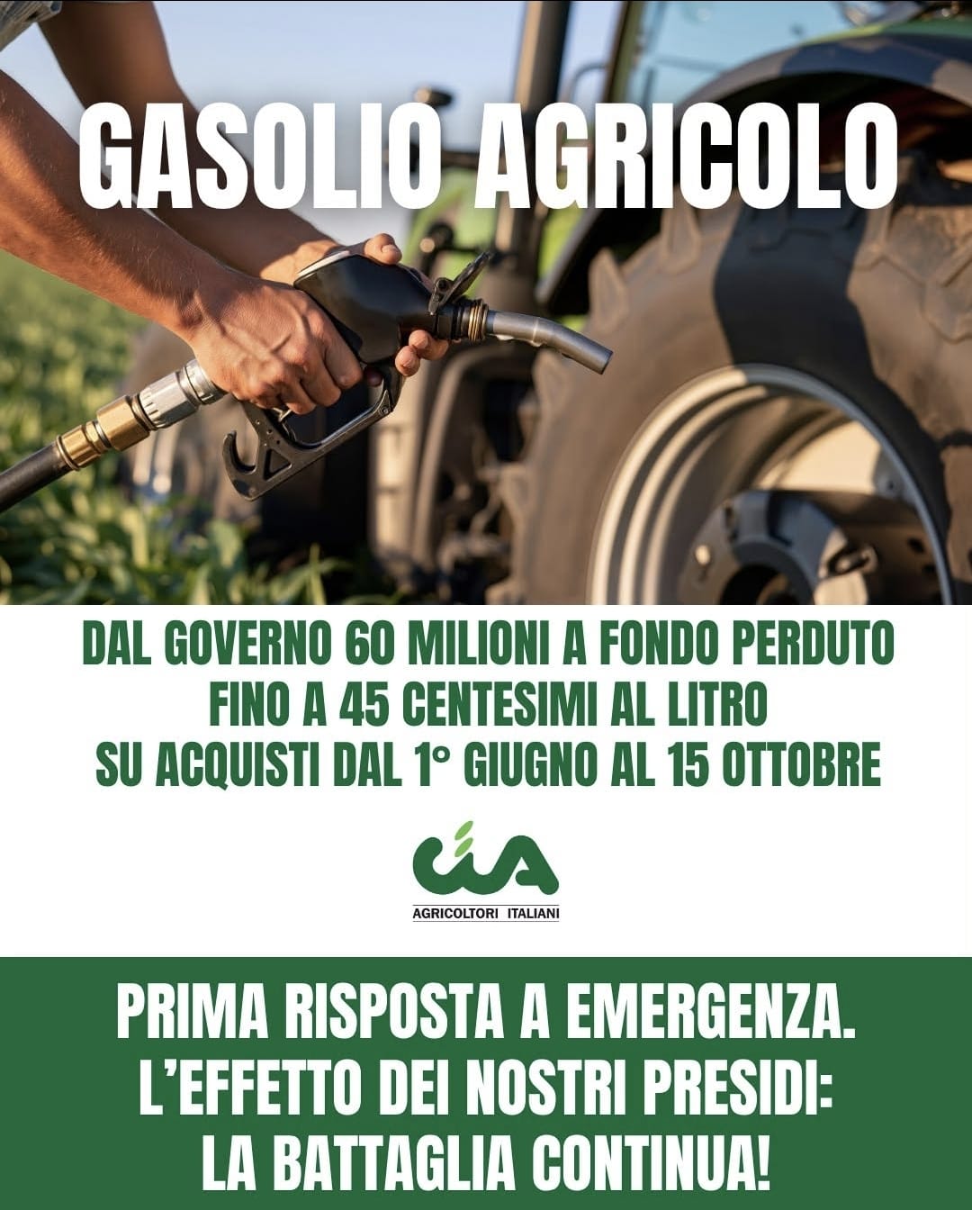battaglia